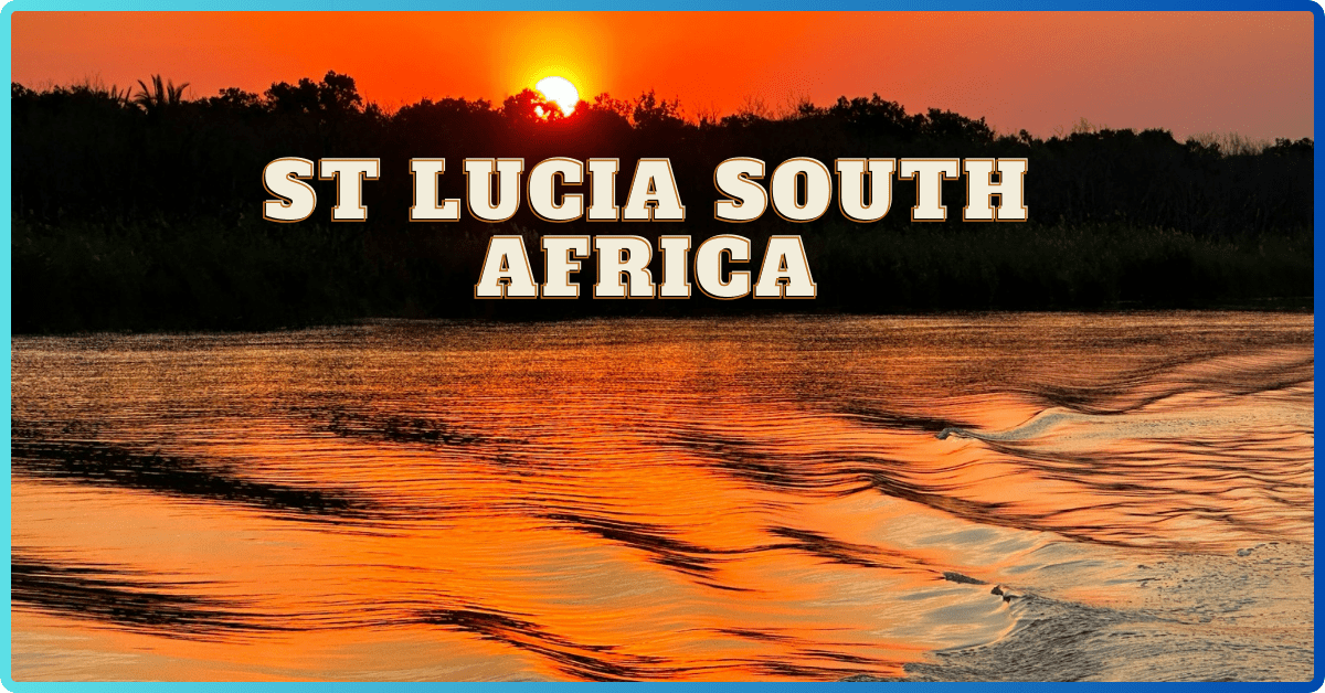 Accommodation In St Lucia South Africa And Things To Do And See