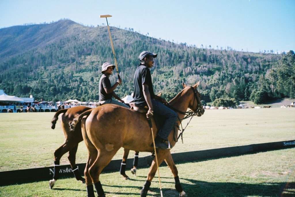 Best Places to Visit in Western Cape South Africa
