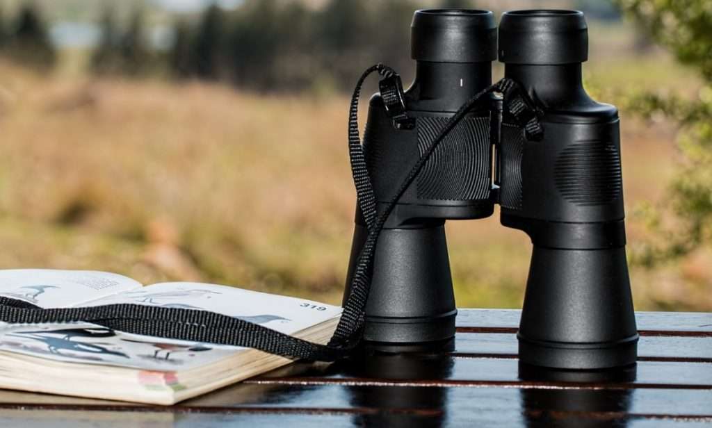 The Most Important Things to Pack When Traveling to South Africa