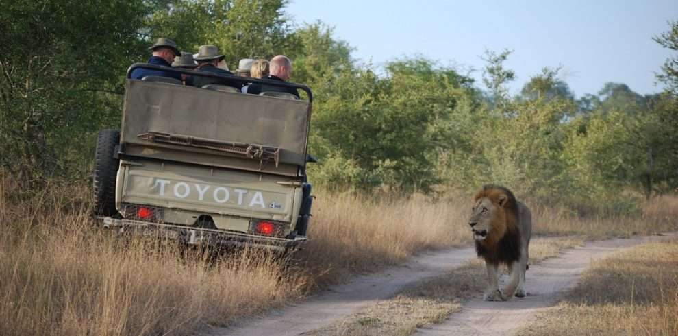 The Best Safari Destinations in Africa 2023