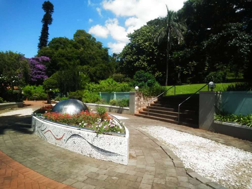 5 Reasons to Visit the Botanic Gardens in Durban