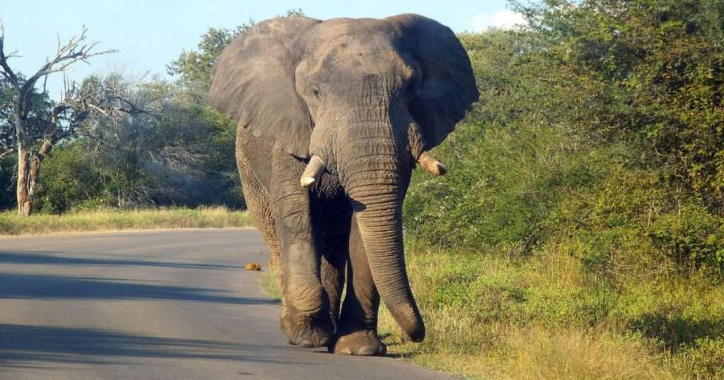 The Best Tourist Attractions In South Africa
