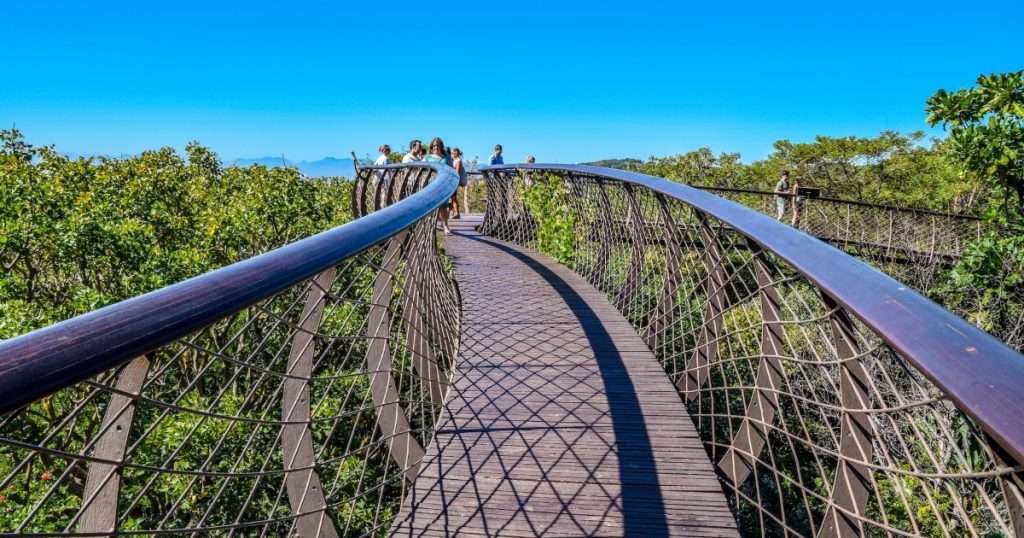 Tourist Attractions in Cape Town That you can’t Miss