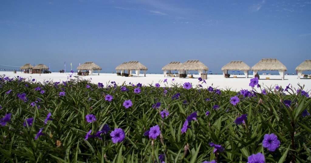 Things To Do On Marco Island