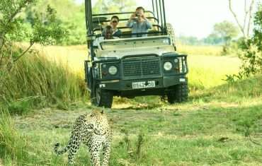 Safari Adventures: Discover the Untouched Beauty of Africa