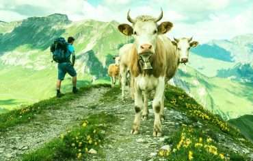 Best Hikes In Switzerland