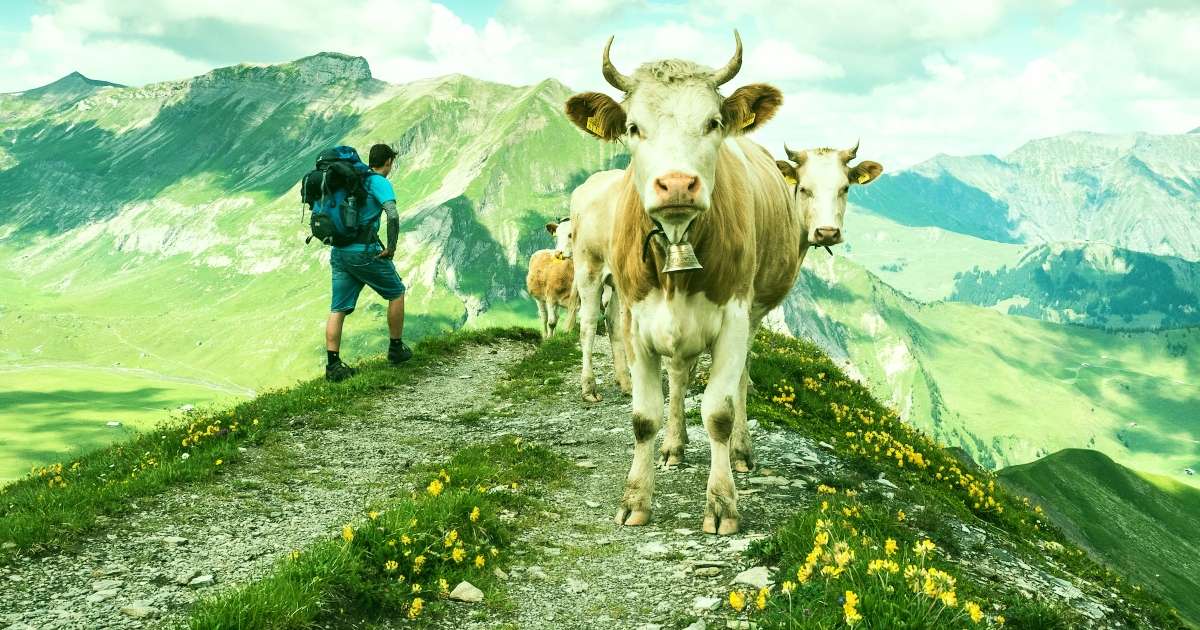 Best Hikes In Switzerland