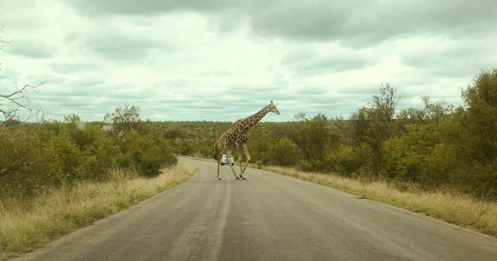 Best Tourist Attractions In South Africa That You Cannot Miss