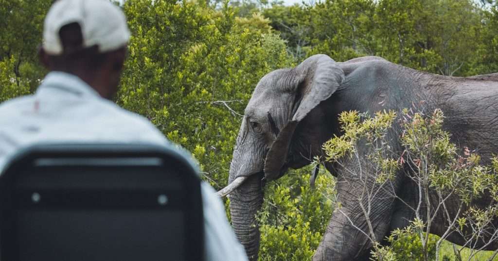 The Best Tourist Attractions In South Africa That You Cannot Miss