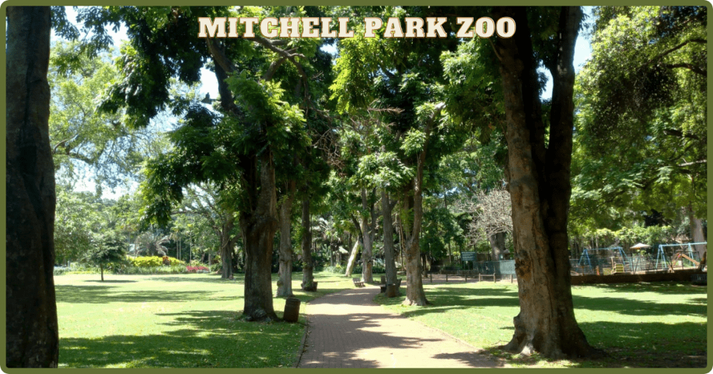 A visit to Mitchell Park Zoo 