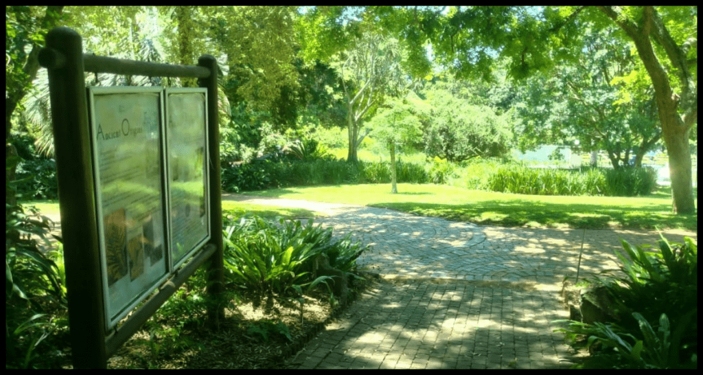 Durban Botanic Gardens: A Peaceful Place To Be 