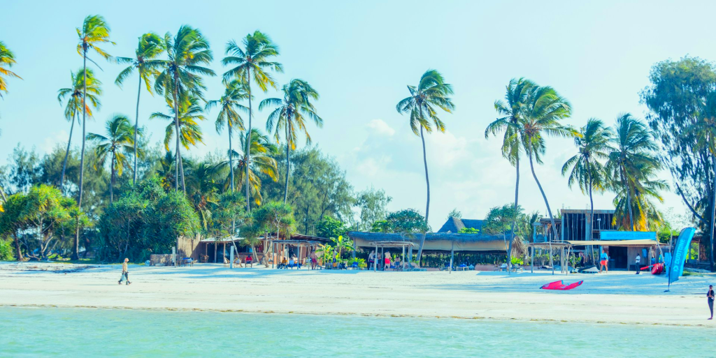 the mangrove ecosystems