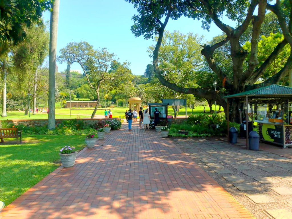 Botanical Gardens Durban: Connect With Nature