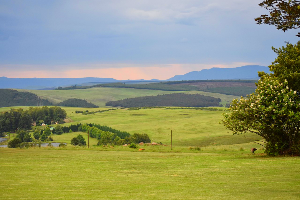 Best Holiday Destinations in kwazulu Natal South Africa