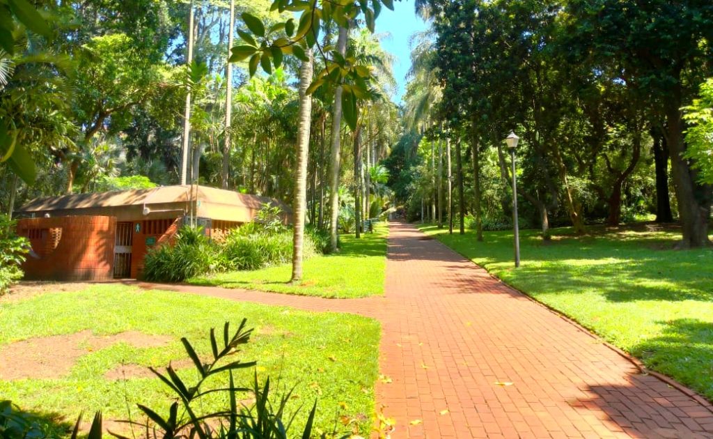Botanical Gardens Durban: Connect With Nature