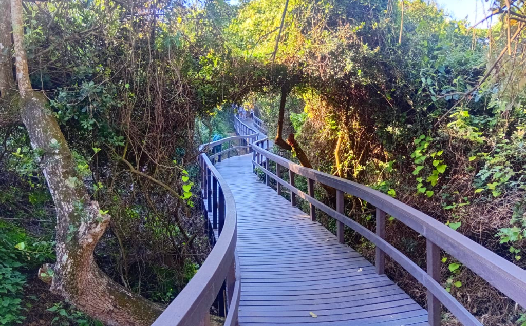 Best Places to Visit in Durban: Durban Travel Guide