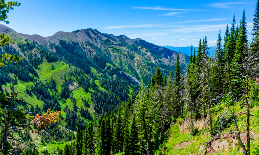 bozeman
