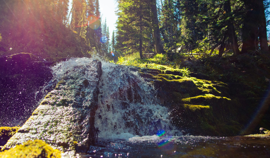 Bozeman 