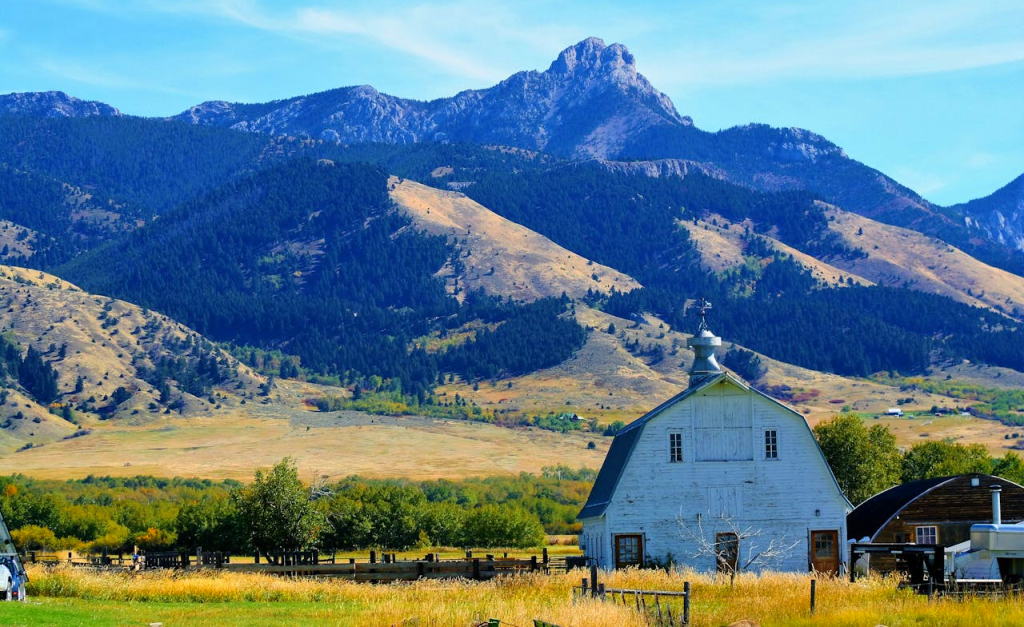 Bozeman 