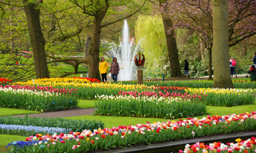 Best Things to Do in Amsterdam: The Only Guide on Internet