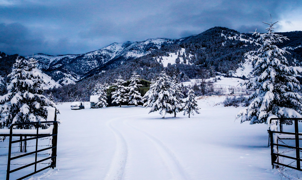 Winter