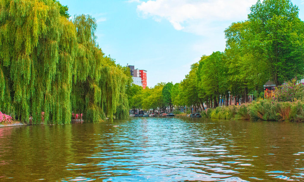 Amsterdam: The Only Guide on Internet