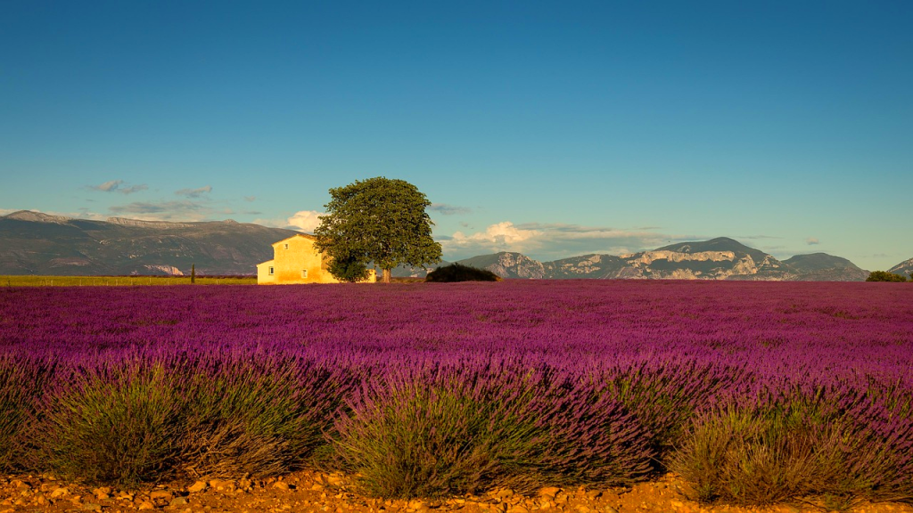 Provence